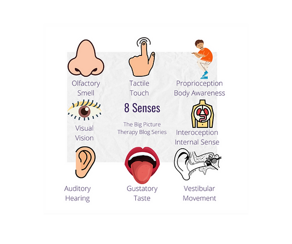 All the senses: nose, sight, touch, taste, hearing, smell with pictures of all the senses