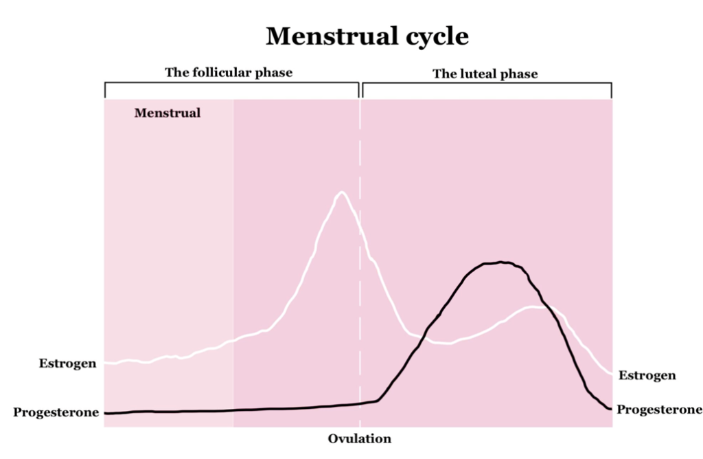 Hormonal Influence on ADHD Symptoms​, ADHD and Menopause , adhd in women, adhd and period, adhd and