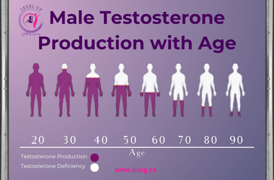 Male Testosterone Production with Age, male testosterone r