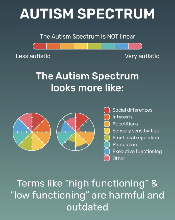 autism specturm, social diffrence, interest, repetition, sensory sensitivity, emotional regulation, executive function