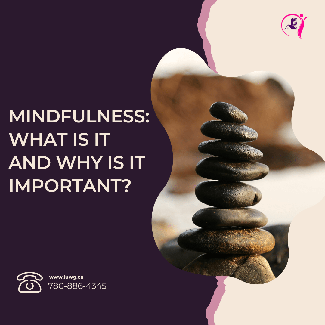 mindfulness - Level Up Wellness Group Mindfulness, How Mindfulness Supports Emotional Regulation