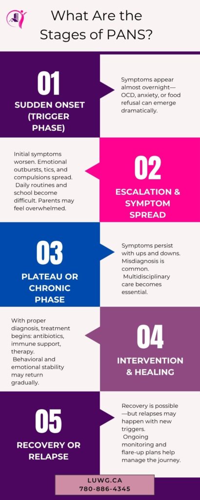 Stages of PANS/ PANDAS, support children with PANS, infograph PANS/PANDAS child