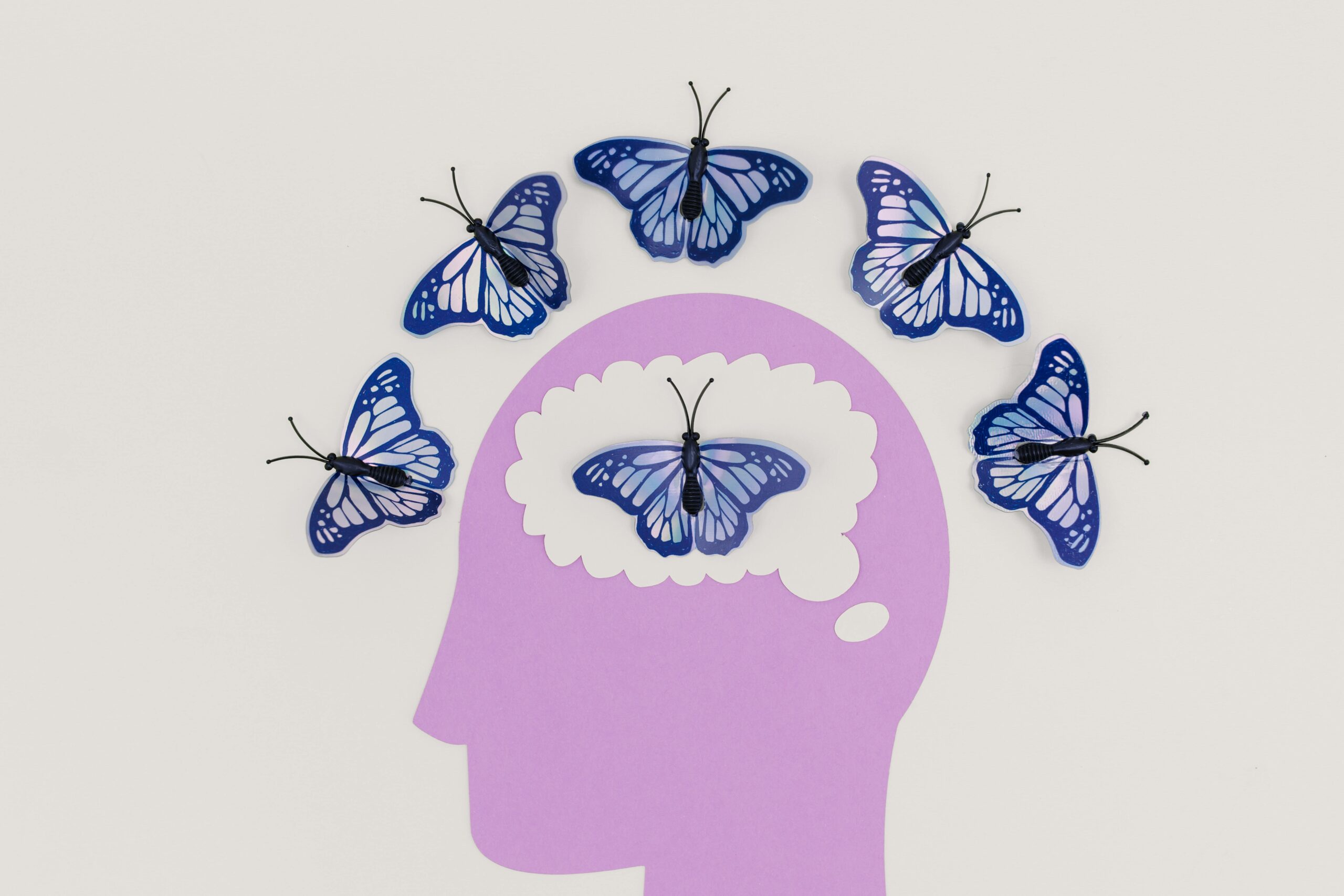 brain development