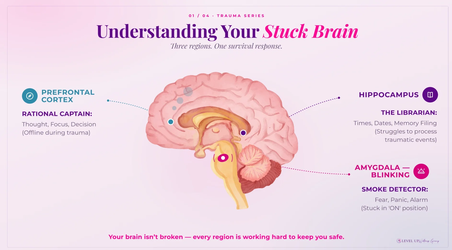Infographic brain diagram labeling trauma-related regions: prefrontal cortex, hippocampus, amygdala, with a pink gradient background and the title 'Understanding Your Stuck Brain'.