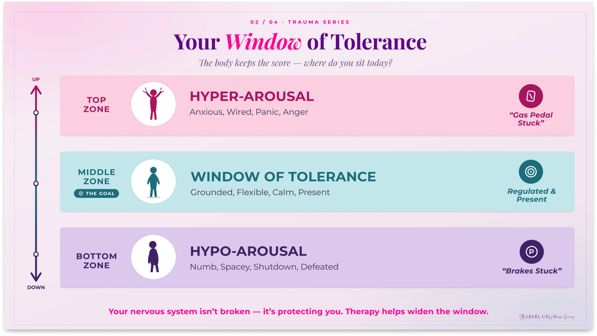 Infographic panel titled Your Window of Tolerance showing three zones: hyper-arousal (pink, anxious/angry), window of tolerance (blue, grounded), and hypo-arousal (purple, numb). A vertical axis on the left marks Up and Down.